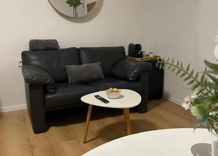 Pique ميشرنيش